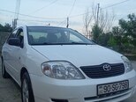 Toyota Corolla-1