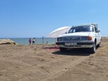 GAZ 31029 "Volga"-10