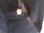 Kia Optima-7