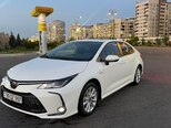 Toyota Corolla-4