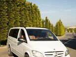 Mercedes Vito 113 CDI-1