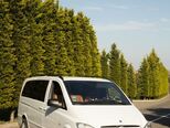 Mercedes Vito 113 CDI-3