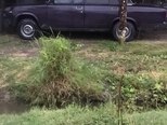 LADA (VAZ) 2107-3