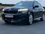 Skoda Kamiq-12