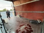 Ford Transit-11
