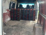 Ford Transit-5