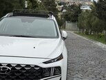 Hyundai Santa Fe-19