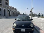 Volkswagen Beetle-2