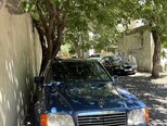 Mercedes 250 D-12