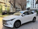 BYD Destroyer 05-1