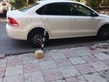Volkswagen Polo-4