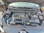 Kia Rio-18