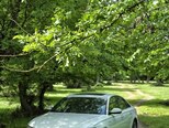 Audi A6-10