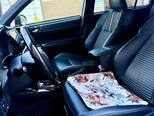 Toyota Corolla Fielder-10