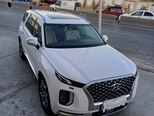 Hyundai Palisade-18