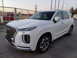Hyundai Palisade-13