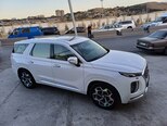 Hyundai Palisade-19