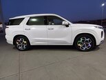 Hyundai Palisade-10