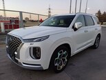 Hyundai Palisade-14