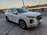 Hyundai Palisade-17
