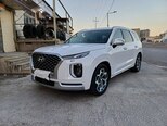 Hyundai Palisade-16