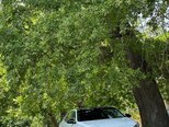 Kia K7-7