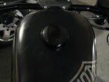 Harley-Davidson XL883N Sportster Iron 883-3
