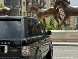 Land Rover Range Rover-5
