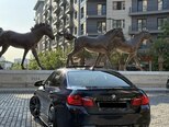 BMW 528-8