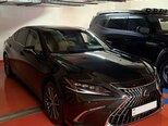 Lexus ES 300h-9