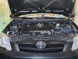 Toyota Corolla-7