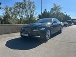Jaguar XF-4