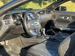 Ford Mustang-11