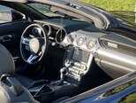 Ford Mustang-12
