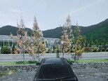 Opel Astra-14