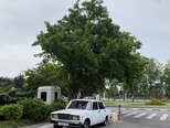 LADA (VAZ) 2107-18