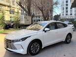 BYD Destroyer 05-11