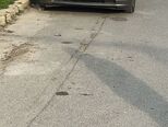 Honda Civic-10
