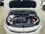 Toyota Corolla-20