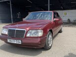 Mercedes 250 D-1