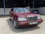 Mercedes 250 D-6