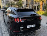 Ford Mustang Mach-E-18