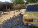 LADA (VAZ) 2106-6