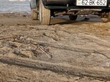 LADA (VAZ) 2107-3