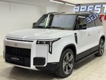 ROX (Polar Stone) 01-1