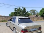 Mercedes 250 D-10