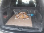 Opel Astra-7