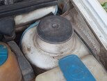 Volkswagen Polo-18