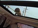 Baic X3-10
