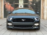 Ford Mustang-2